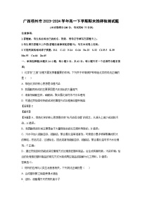 [化学][期末]广西梧州市2023-2024学年高一下学期期末抽样检测试题(解析版)