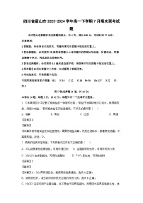 [化学][期末]四川省眉山市2023-2024学年高一下学期7月期末联考试题(解析版)