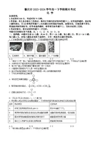 广东省肇庆市2023-2024学年高一下学期期末考试 化学试题 Word版含答案