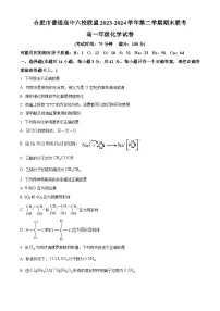 安徽省合肥市普通高中六校联盟2023-2024学年高一下学期期末联考化学试卷（Word版附解析）