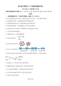 重庆巴蜀2025届高三上学期7月调研化学试题+答案