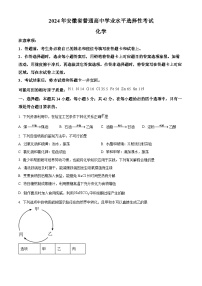 2024年新高考安徽化学高考真题解析（原卷+解析）
