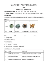 2024年新高考贵州卷化学高考真题解析（原卷+解析）
