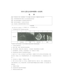 [化学]2020北京北大附中新高一分班考化学试卷及答案