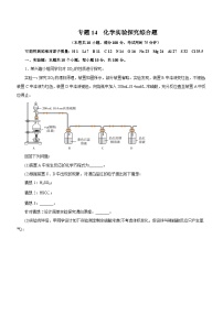 高考化学二轮复习讲练测(新高考专用)专题14化学实验探究综合题(测)(原卷版+解析)