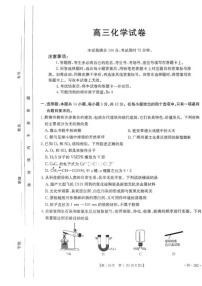 贵州省黔东南苗族侗族自治州2024-2025学年高三上学期开学考试化学试题+答案