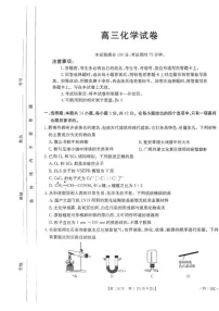 贵州省黔东南苗族侗族自治州2024-2025学年高三上学期开学考试化学试题+答案