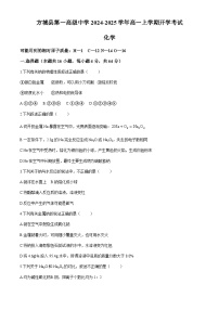 河南省南阳市方城县第一高级中学2024-2025学年高一上学期开学考试化学试题（含答案）