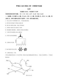广东深圳罗湖区2025届高三上学期第一次摸底考试化学试题（含答案）
