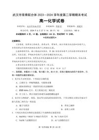 湖北武汉市2024年高一下学期期末考试化学试卷（含答案）