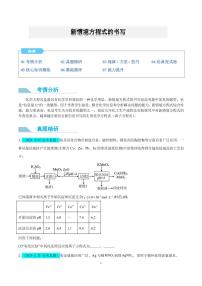 新情境方程式的书写--2025年高考化学微专题