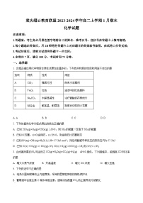 重庆市缙云教育联盟2023-2024学年高二上学期1月期末化学试题（原卷版+解析版）