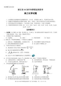 浙江A9协作体2024-2025学年高三上学期暑假返校联考化学试题（PDF版，含答案）