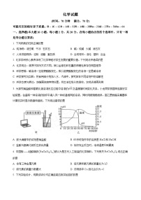 甘肃省平凉市崆峒区平凉市第二中学2024-2025学年高一上学期开学化学试题（原卷版）