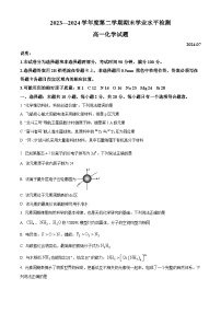 山东省青岛市2023-2024学年高一下学期期末考试化学试题（原卷版）