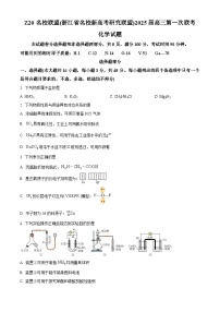 Z20名校联盟(浙江省名校新高考研究联盟)2025届高三上学期第一次联考化学试题（原卷版+解析版）