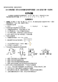 浙江省名校新高考研究联盟（Z20名校联盟）2025届高三上学期第一次联考化学试题（Word版附答案）