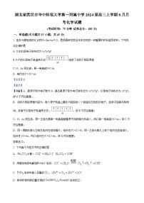 湖北省武汉市华中师范大学第一附属中学2024-2025学年高三上学期8月月考化学试题（Word版附解析）