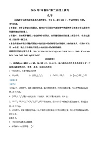 浙江省第二届辛愉杯2025届高三上学期线上模拟考试化学试题（Word版附解析）