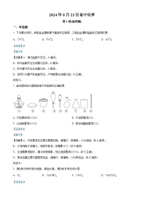 山东省泰安市泰山外国语学校复读部2024-2025学年高三上学期8月测试化学试题（解析版）