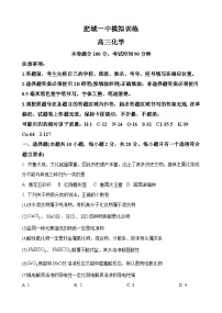 山东省泰安市肥城市第一高级中学2024-2025学年高三上学期开学考试化学试题