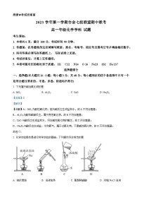 浙江省台金七校联盟2023-2024学年高一上学期11月期中联考化学试卷（Word版附解析）