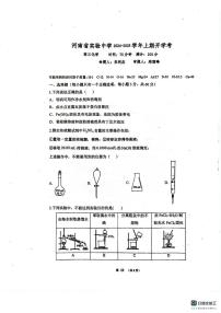 河南省实验中学2024-2025学年高三上学期开学考试化学试题