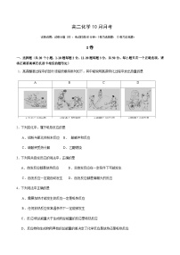 北京市第三十五中学2022-2023学年高二上学期10月月考化学试题