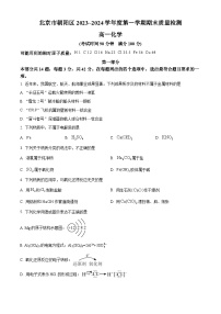 北京市朝阳区2023-2024学年高一上学期期末质量检测化学试题（原卷版）