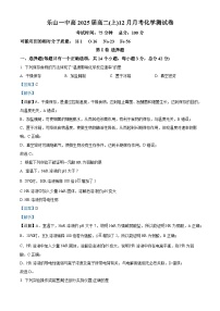 四川省乐山市第一中学2023-2024学年高二上学期12月月考化学试题（Word版附解析）