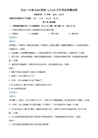 四川省乐山市第一中学2023-2024学年高二上学期12月月考化学试题（Word版附解析）