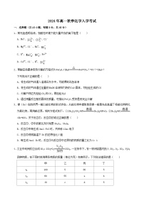 湖南省岳阳市岳阳县第一中学2024-2025学年高一上学期开学考试化学试题（Word版附答案）