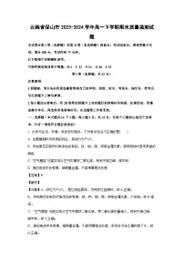 [化学][期末]云南省保山市2023-2024学年高一下学期期末质量监测试题(解析版)