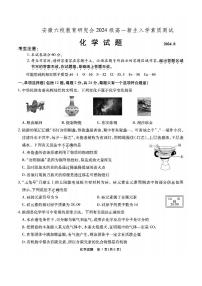 安徽省六校教育研究会2024-2025学年高一上学期新生入学素质测试化学试卷（PDF版附解析）