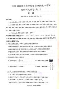 2025青鸣桐大联考高二上学期开学化学试题+答案