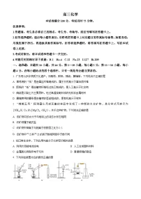 广东省部分学校2024-2025年高三上学期开学考试化学试题（原卷版）