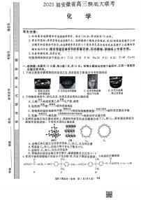 2025届安徽省皖南八校高三摸底考试 化学试卷（附参考答案）