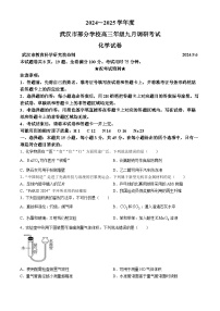 湖北省武汉市2025届高三上学期9月调研考试+化学试卷(无答案)