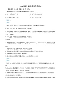 湖南省岳阳市岳阳县第一中学2024-2025学年高一上学期开学考试化学试题（解析版）