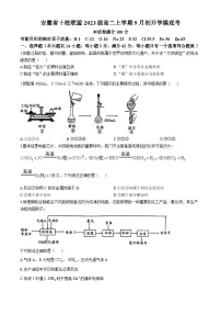 安徽省十校联盟2024-2025学年高二上学期9月份开学考试化学试题(无答案)