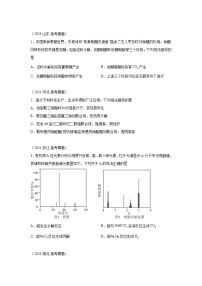 2024年高考化学真题分类汇编13有机化学基础含解析答案