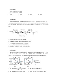 三年高考化学真题分类汇编（2022-2024）专题06物质结构与性质含解析答案