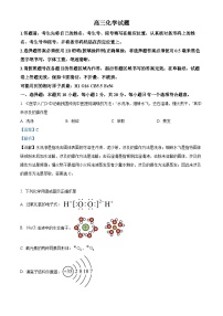 山东省泰安市肥城市2024-2025学年高三上学期开学考试化学试题（解析版）