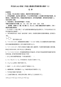 河北省2025届高三上学期大数据应用调研联合测评（I）化学试题（Word版附解析）