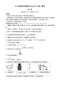 辽宁省沈阳市郊联体2024-2025学年高三上学期9月开学联考化学试题（Word版附解析）