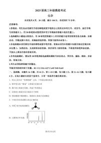 2025届深圳中学高三上学期摸底考试（一模）化学试题+答案