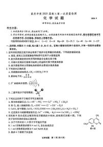 2025届重庆南开中学高三上学期开学第一次质检化学试题+答案