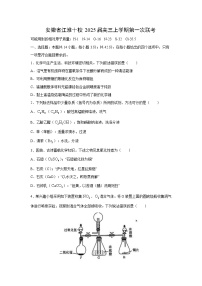 [化学]2[化学]安徽省江淮十校2025届高三上学期第一次联考试卷(解析版)