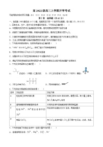 四川省成都市树德中学2024-2025学年高三上学期开学考试化学试题+