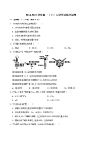 湖南省长沙市望城区第一中学2024-2025学年高一上学期开学考试化学试题